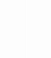 4 Arrows Cattle Company